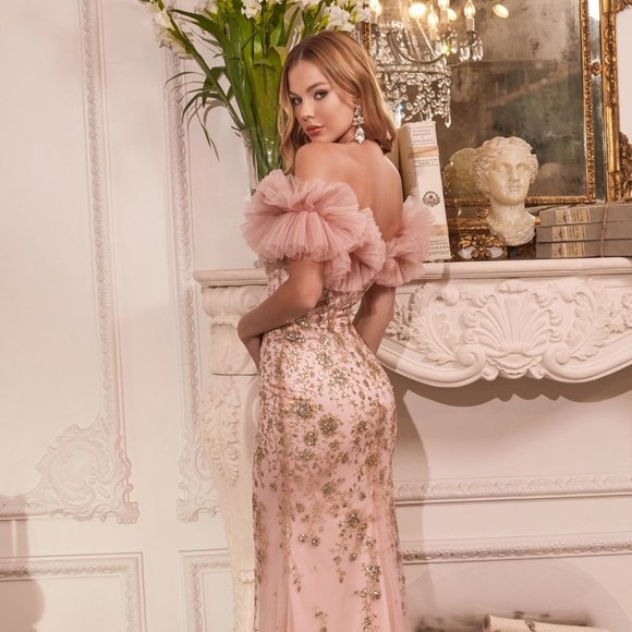 NEW FLOOR LENGTH OFF THE SHOULDER SLEEVELESS TULLE GOWN WITH ZIPPER BACK CD J818 - Picture 7 of 9